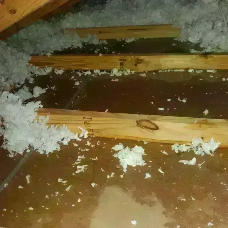 Attic Water Damage in Almont, MI