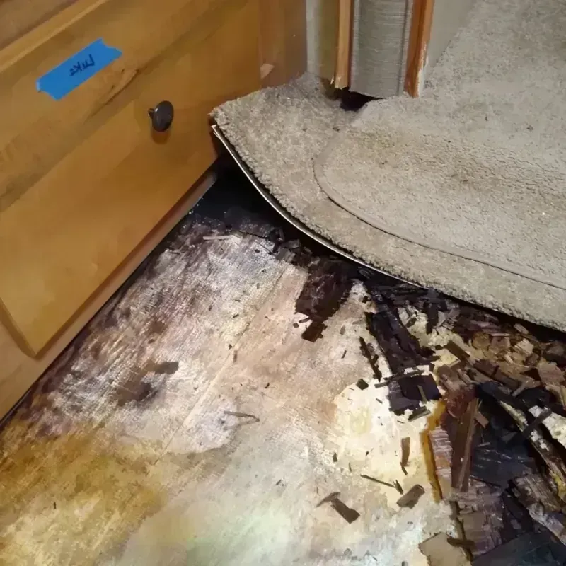 Wood Floor Water Damage in Almont, MI